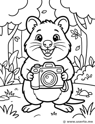 Das große Selfie des fröhlichen Quokkas