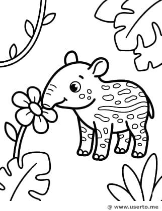 A caçada às flores da Anta pintada