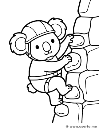 La Primera Escalada del Koala