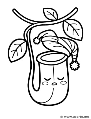 Sleepy Pitcher Plant's Nap