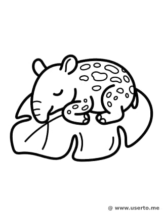 Verschlafenes Tapir-Baby