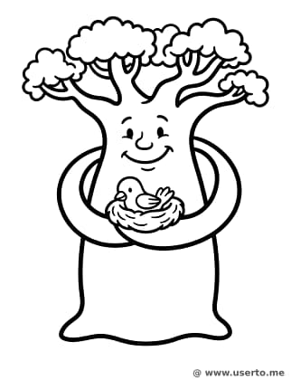 Baobab Tree's Warm Hug