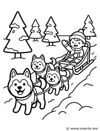 Aventura en Trineo de Huskies Risueños