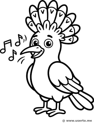 Der singende Wiedehopf-König