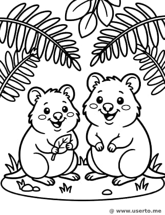 Quokkas Risonhos entre as Samambaias