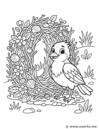 The Bowerbird's Treasure House
