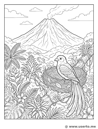 Ciclo de vida na ilha vulcânica